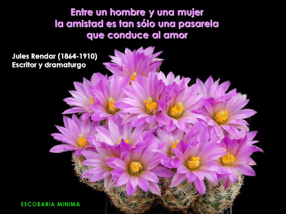 Entre un hombre y una mujer la amistad es tan sólo una pasarela