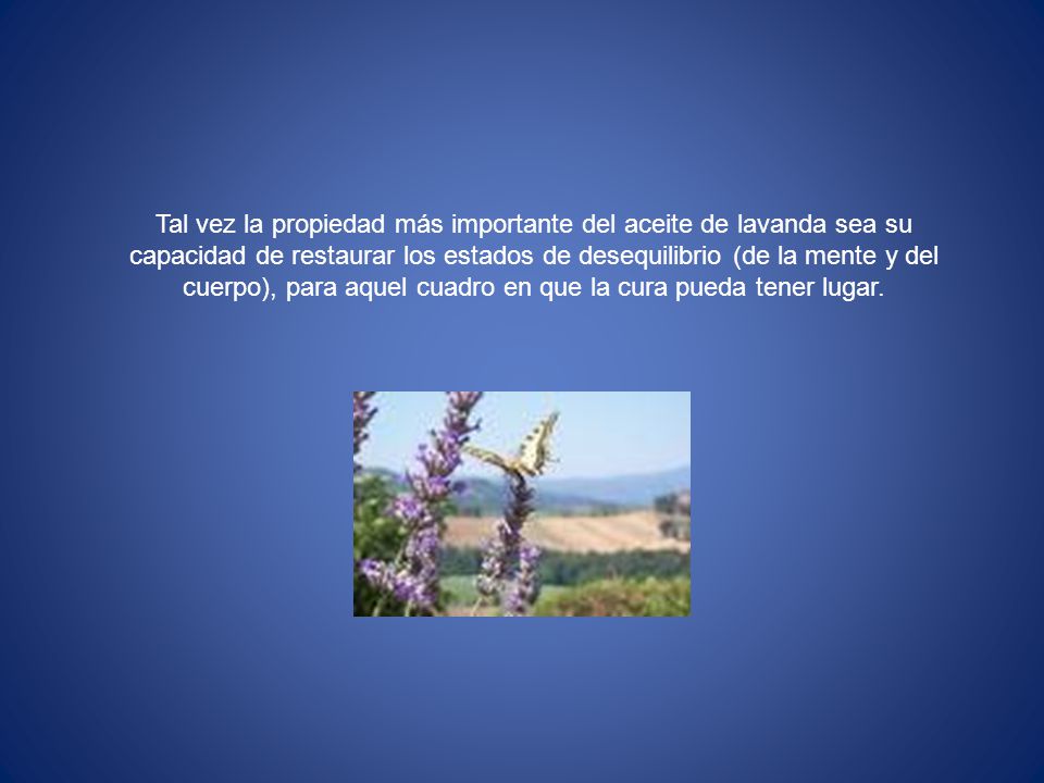 Tal vez la propiedad más importante del aceite de lavanda sea su capacidad de restaurar los estados de desequilibrio (de la mente y del cuerpo), para aquel cuadro en que la cura pueda tener lugar.