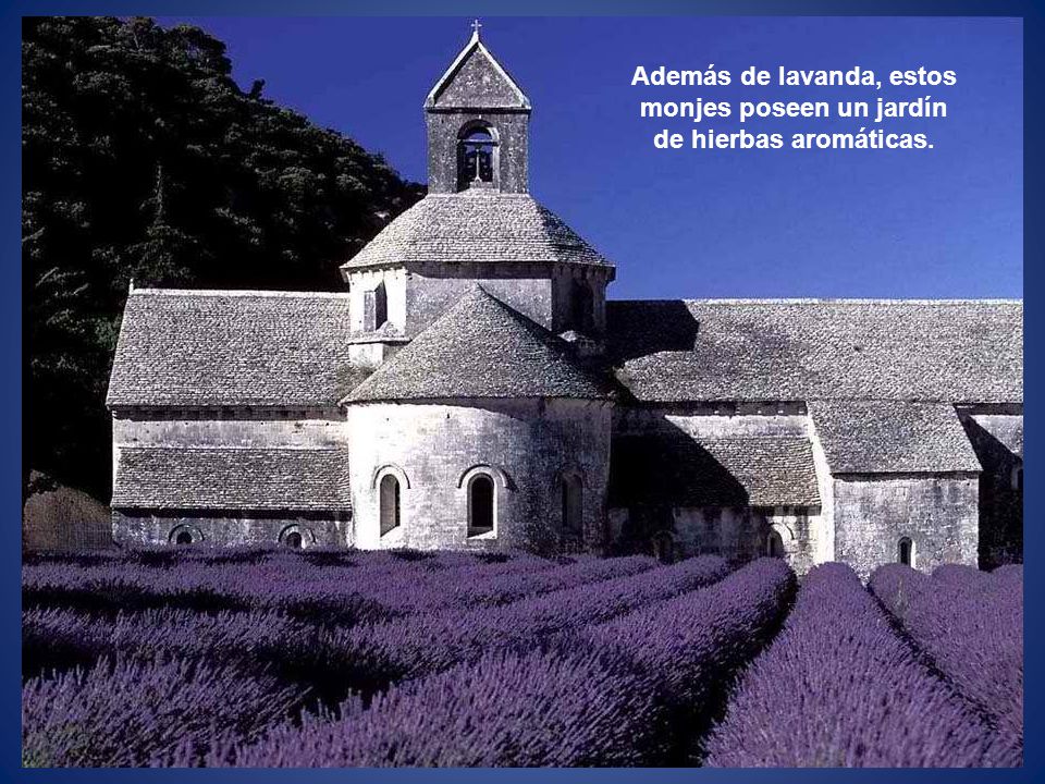 Además de lavanda, estos monjes poseen un jardín de hierbas aromáticas.