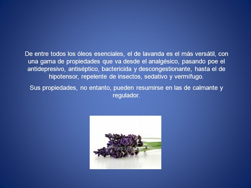 De entre todos los óleos esenciales, el de lavanda es el más versátil, con una gama de propiedades que va desde el analgésico, pasando poe el antidepresivo, antiséptico, bactericida y descongestionante, hasta el de hipotensor, repelente de insectos, sedativo y vermífugo.