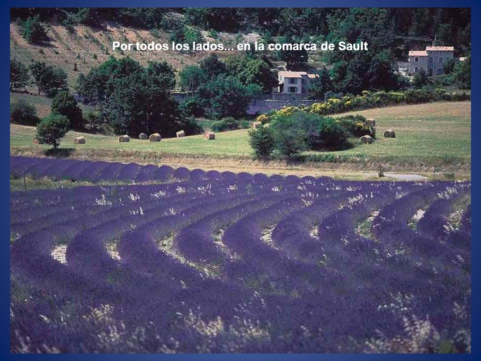 Por todos los lados... en la comarca de Sault