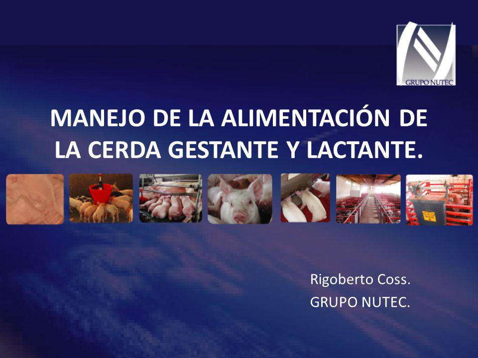 MANEJO DE LA ALIMENTACIÓN DE LA CERDA GESTANTE Y LACTANTE.