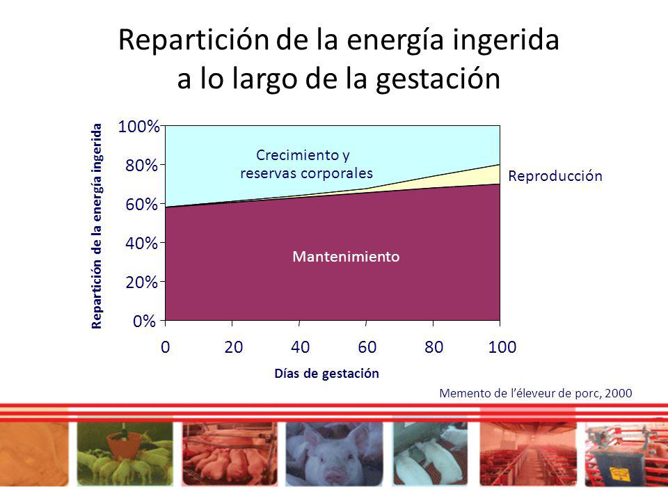 Repartición de la energía ingerida a lo largo de la gestación