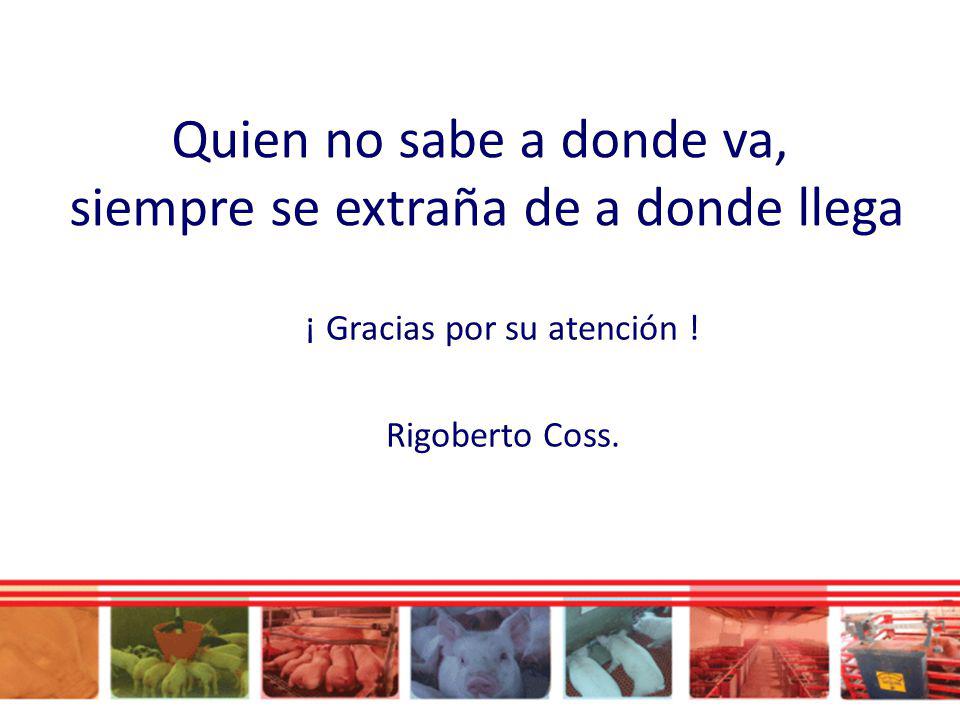 Quien no sabe a donde va, siempre se extraña de a donde llega