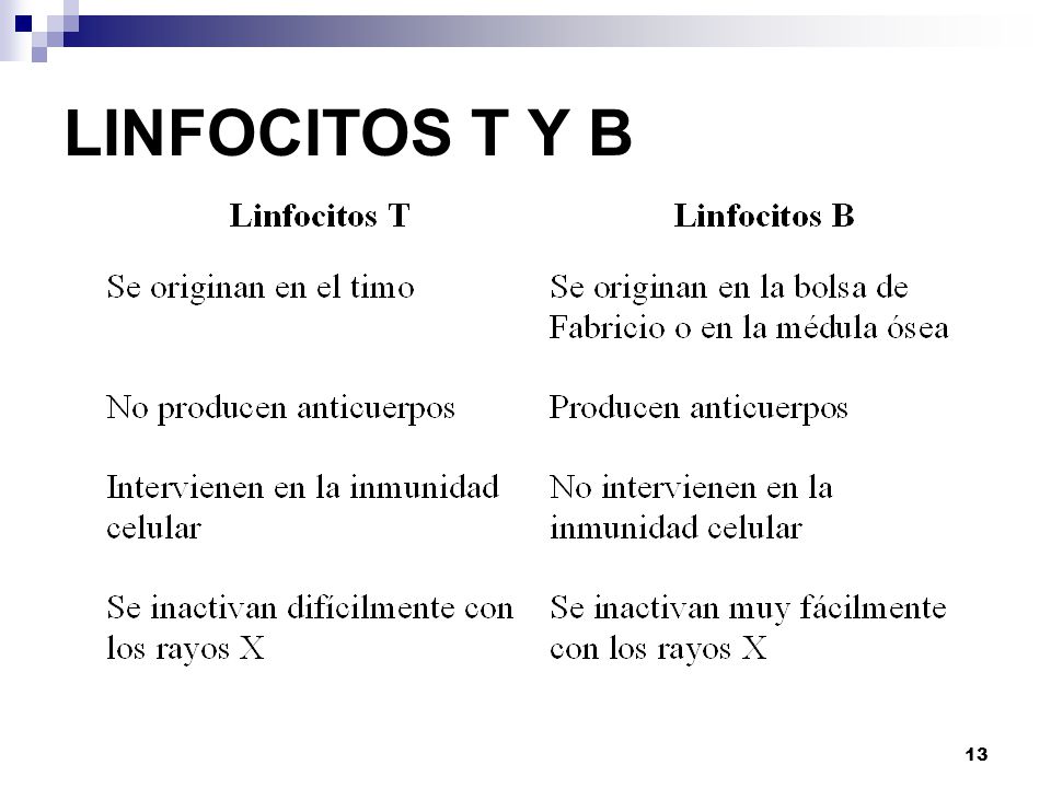 LINFOCITOS T Y B