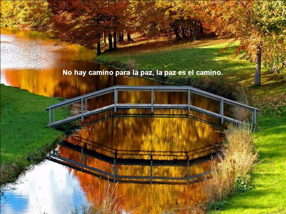No hay camino para la paz, la paz es el camino.