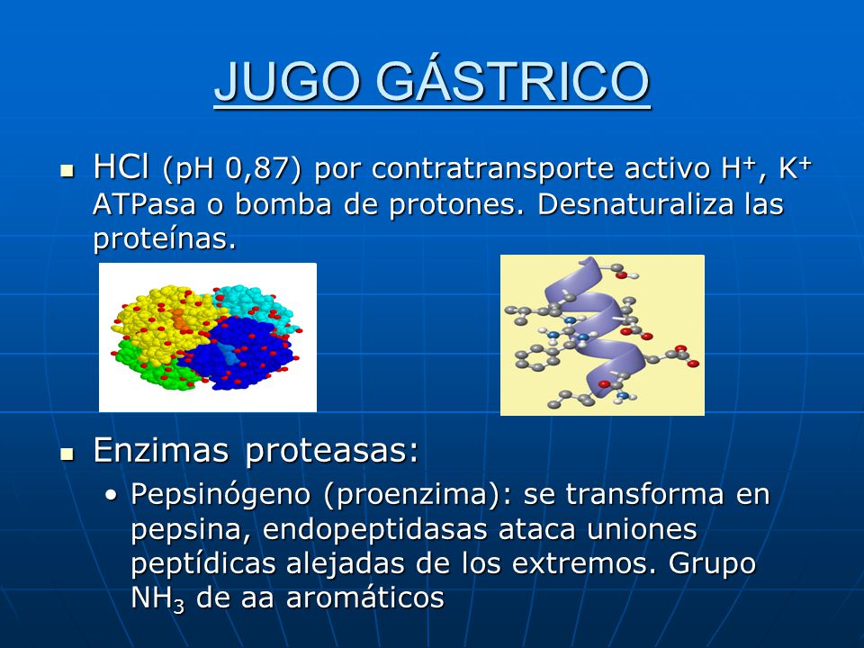 JUGO GÁSTRICO HCl (pH 0,87) por contratransporte activo H+, K+ ATPasa o bomba de protones. Desnaturaliza las proteínas.