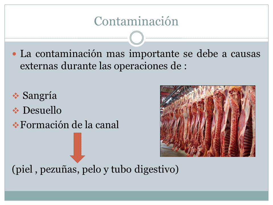 Contaminación La contaminación mas importante se debe a causas externas durante las operaciones de :