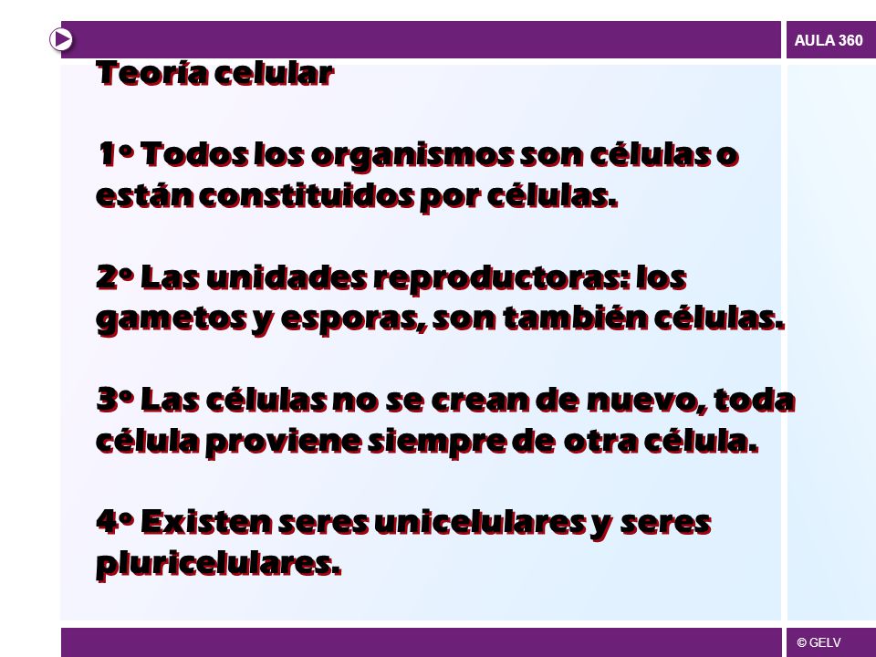 Teoría celular 1º Todos los organismos son células o están constituidos por células.