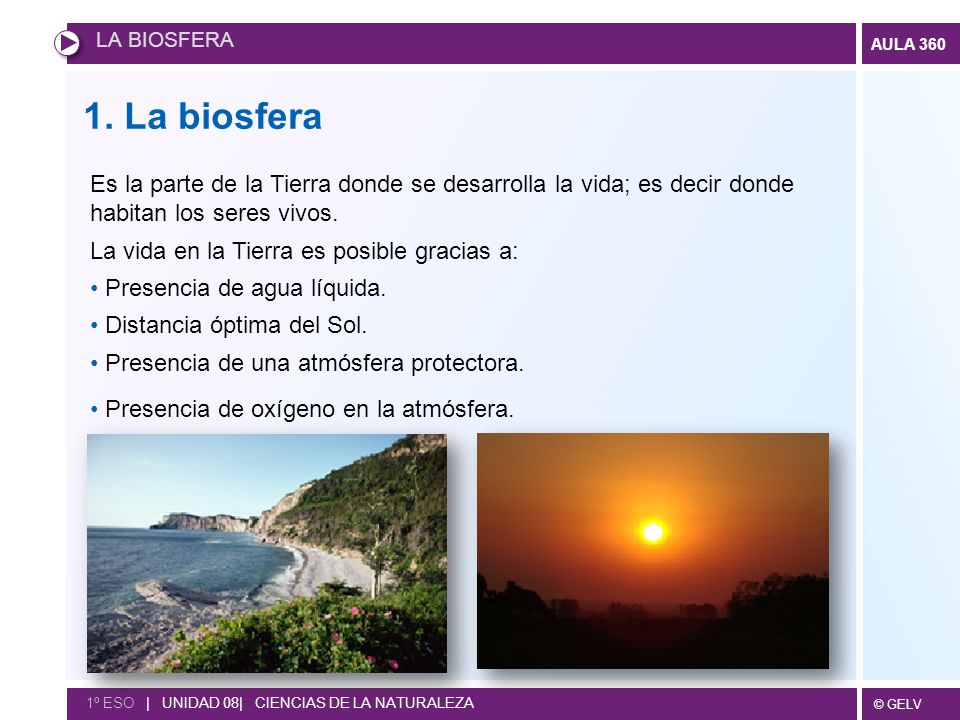 LA BIOSFERA 1. La biosfera. Es la parte de la Tierra donde se desarrolla la vida; es decir donde habitan los seres vivos.