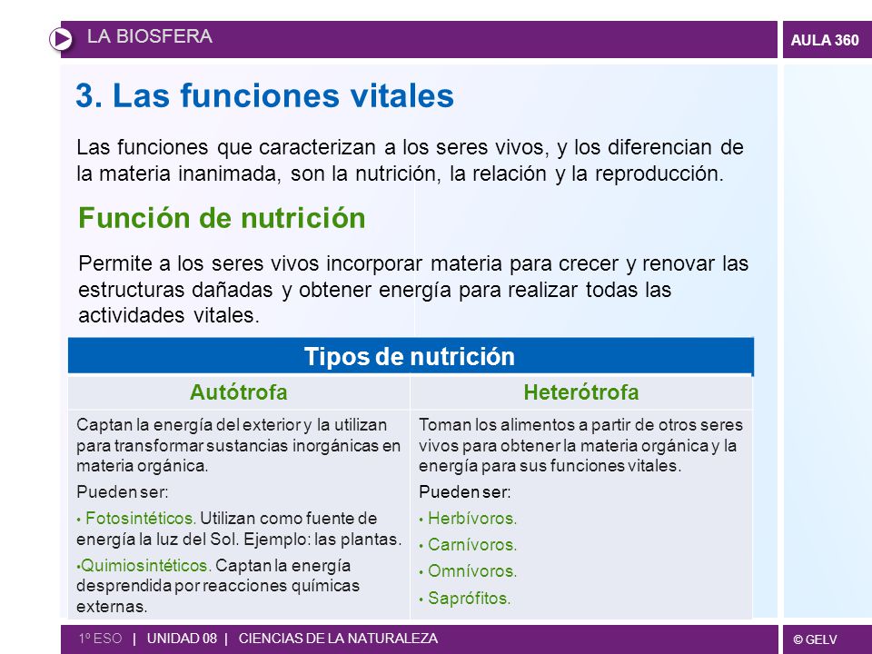 3. Las funciones vitales Función de nutrición Tipos de nutrición
