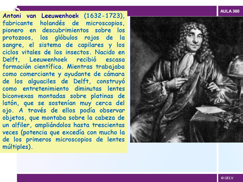 Antoni van Leeuwenhoek ( ), fabricante holandés de microscopios, pionero en descubrimientos sobre los protozoos, los glóbulos rojos de la sangre, el sistema de capilares y los ciclos vitales de los insectos.
