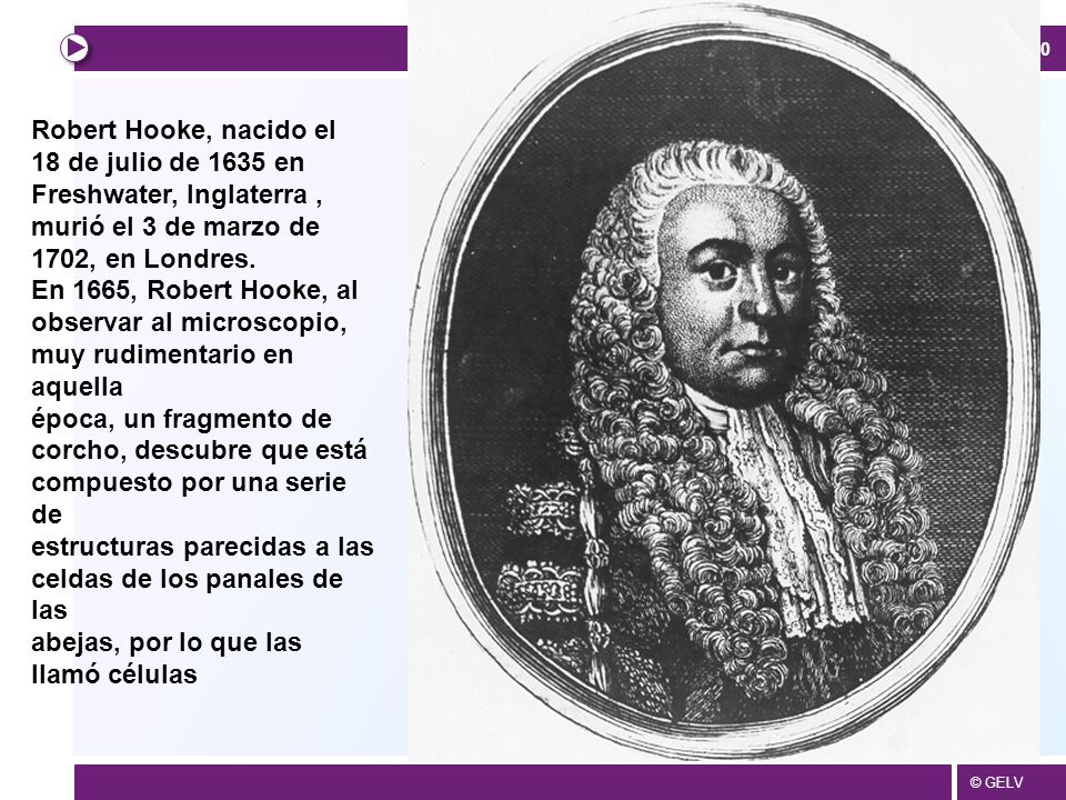 Robert Hooke, nacido el 18 de julio de 1635 en. Freshwater, Inglaterra , murió el 3 de marzo de. 1702, en Londres.