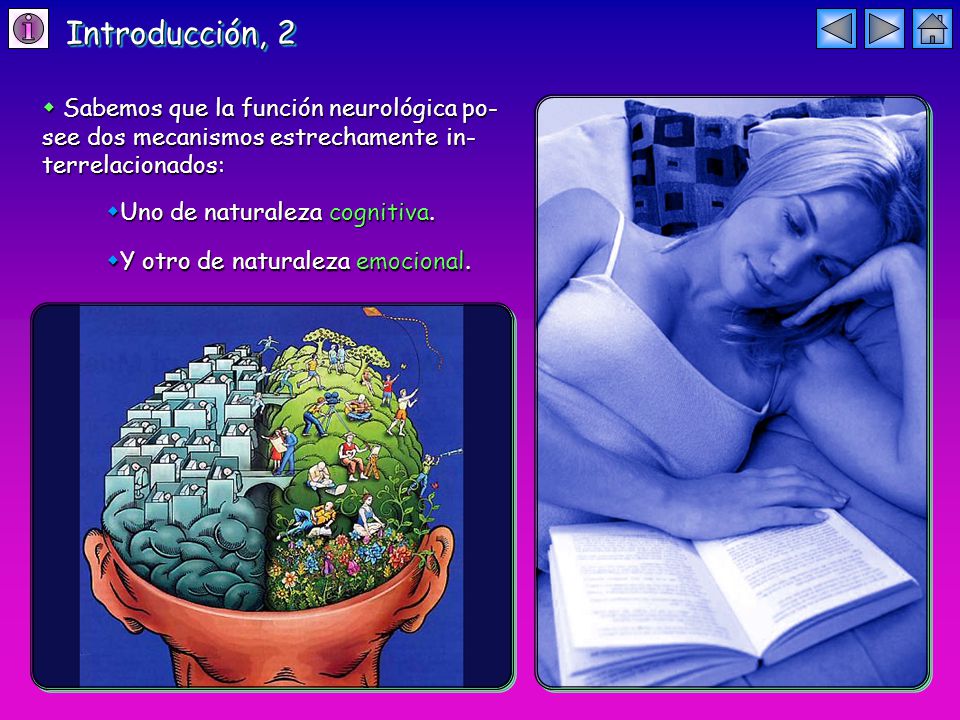 Introducción, 2  Sabemos que la función neurológica po-see dos mecanismos estrechamente in-terrelacionados: