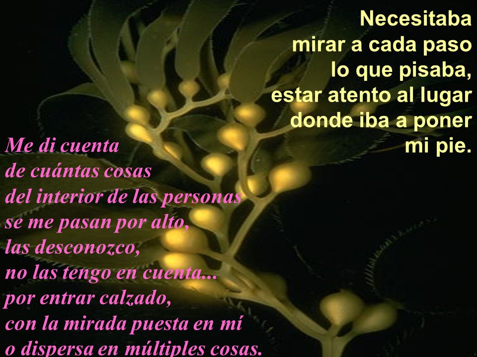 Necesitaba mirar a cada paso. lo que pisaba, estar atento al lugar. donde iba a poner. mi pie. Me di cuenta.