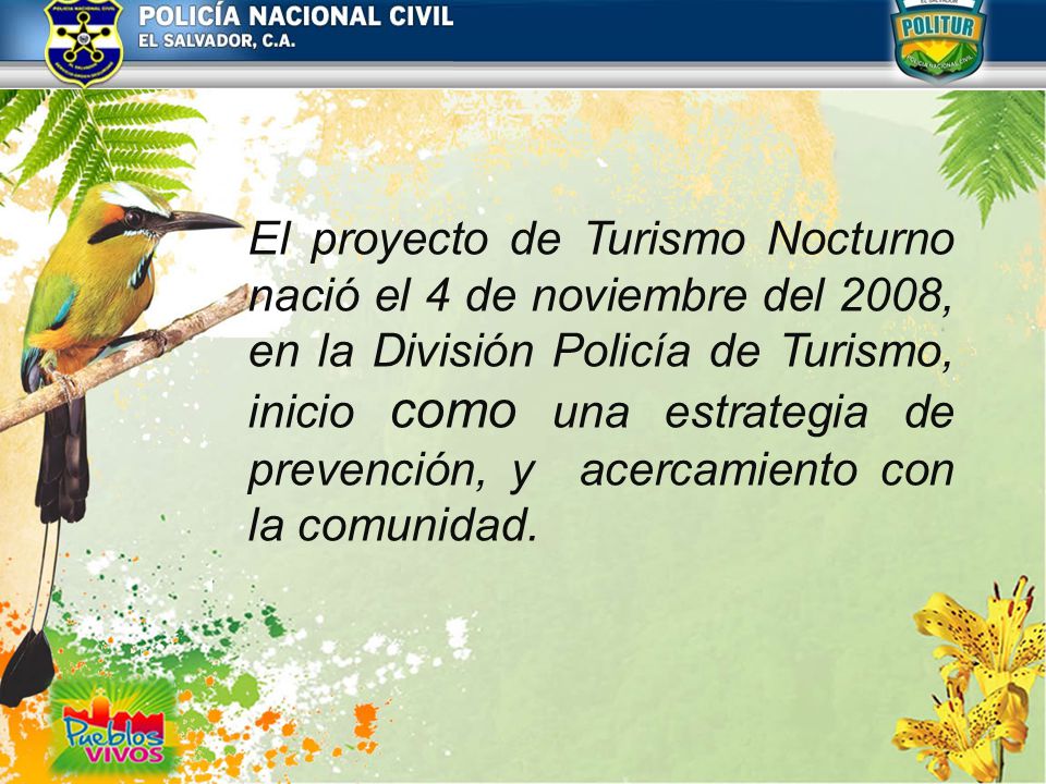 El proyecto de Turismo Nocturno nació el 4 de noviembre del 2008, en la División Policía de Turismo, inicio como una estrategia de prevención, y acercamiento con la comunidad.