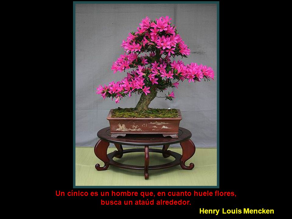 Un cínico es un hombre que, en cuanto huele flores,