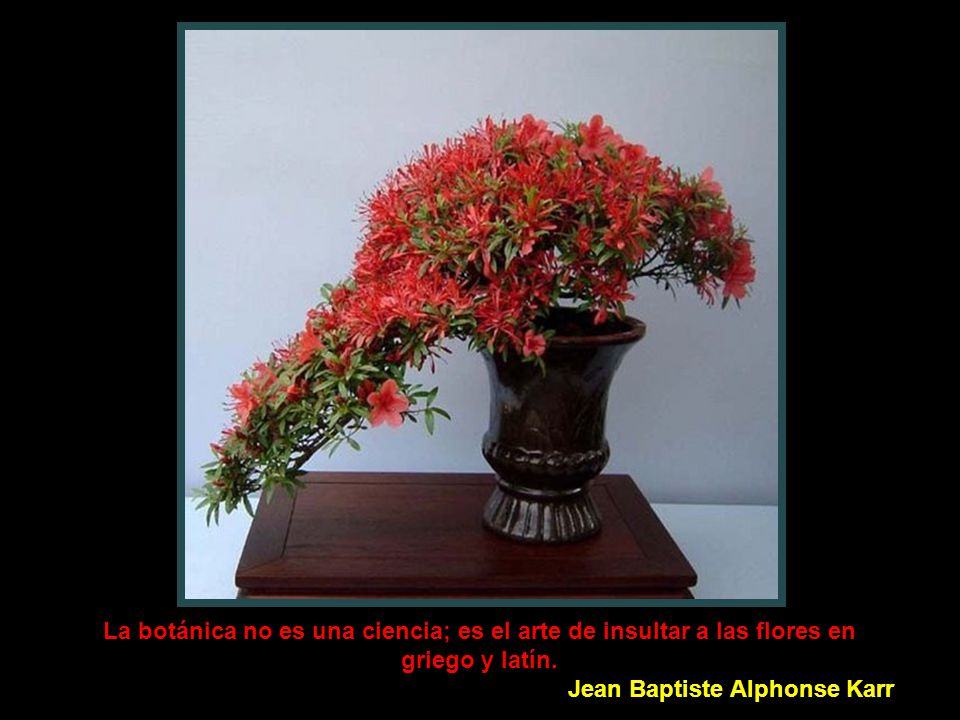 La botánica no es una ciencia; es el arte de insultar a las flores en griego y latín.