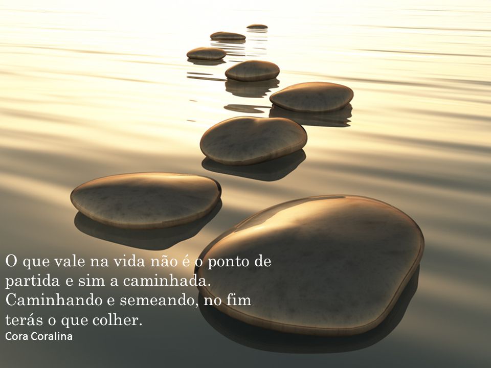 O que vale na vida não é o ponto de partida e sim a caminhada