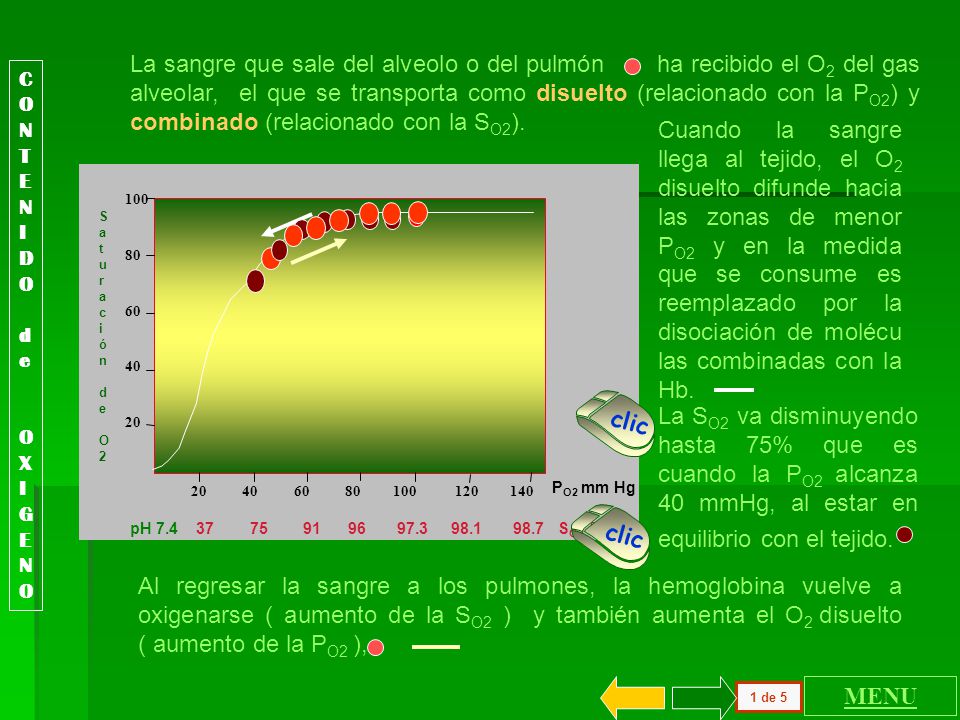 La sangre que sale del alveolo o del pulmón ha recibido el O2 del gas alveolar, el que se transporta como disuelto (relacionado con la PO2) y combinado (relacionado con la SO2).
