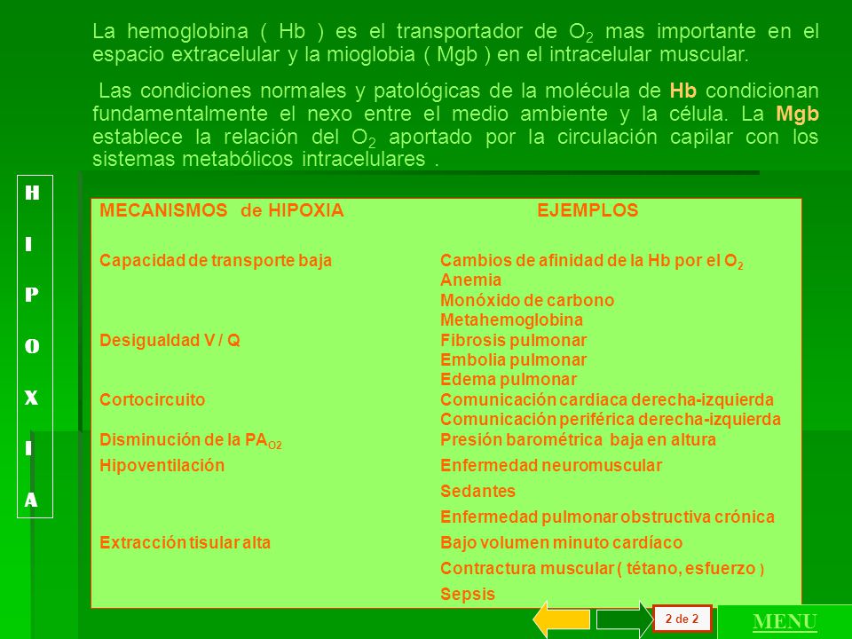 La hemoglobina ( Hb ) es el transportador de O2 mas importante en el espacio extracelular y la mioglobia ( Mgb ) en el intracelular muscular.