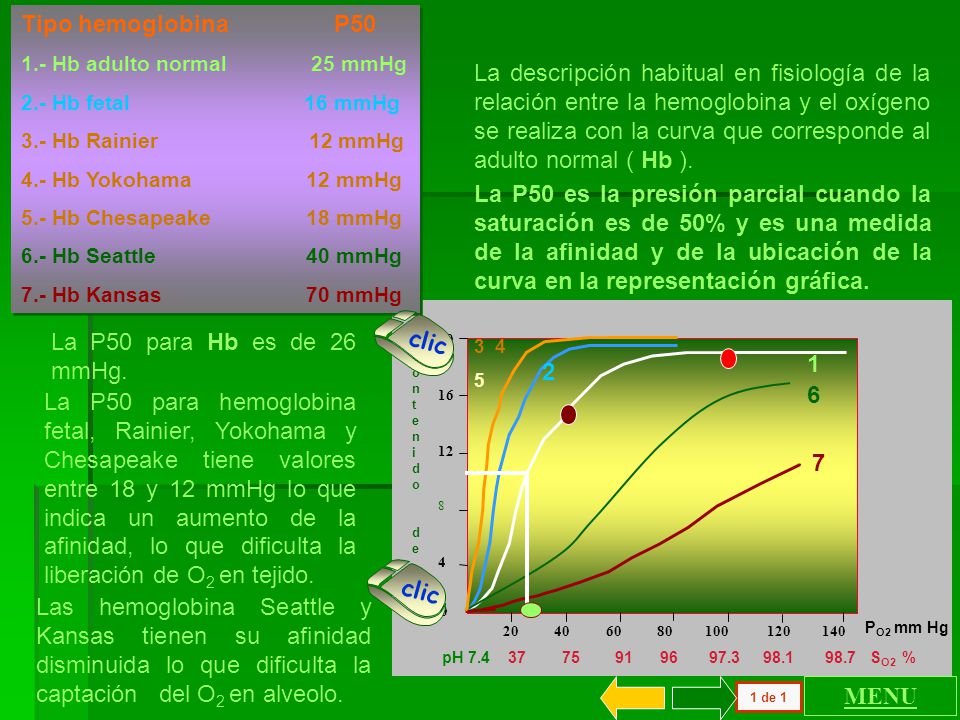 Tipo hemoglobina P Hb adulto normal 25 mmHg. 2.- Hb fetal 16 mmHg.