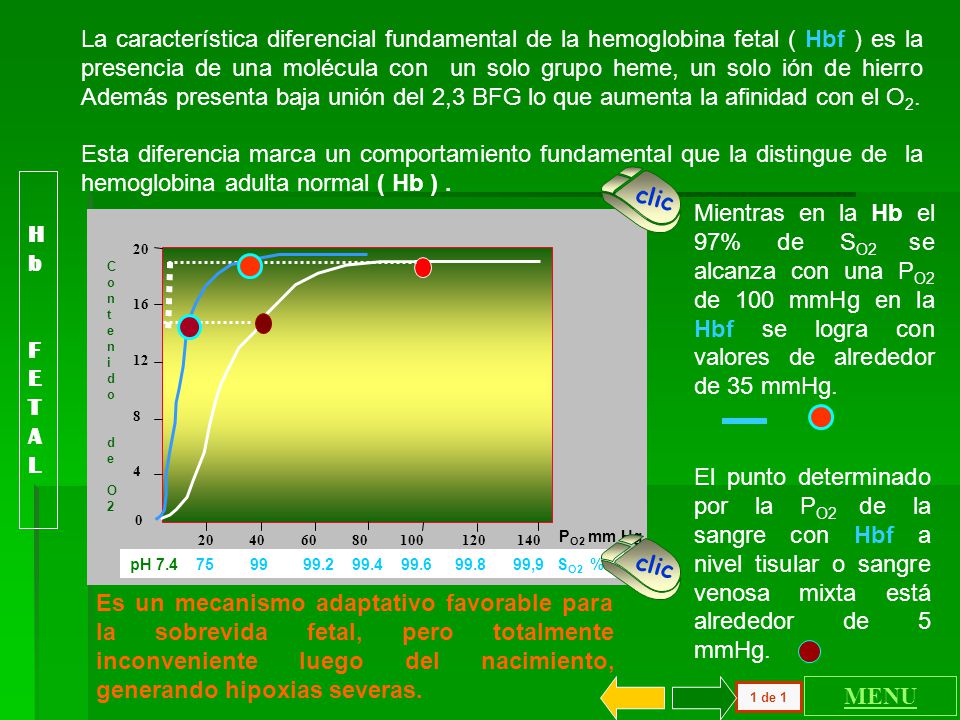 La característica diferencial fundamental de la hemoglobina fetal ( Hbf ) es la presencia de una molécula con un solo grupo heme, un solo ión de hierro Además presenta baja unión del 2,3 BFG lo que aumenta la afinidad con el O2.