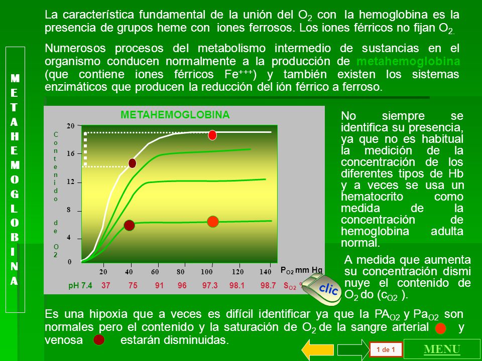 La característica fundamental de la unión del O2 con la hemoglobina es la presencia de grupos heme con iones ferrosos. Los iones férricos no fijan O2.
