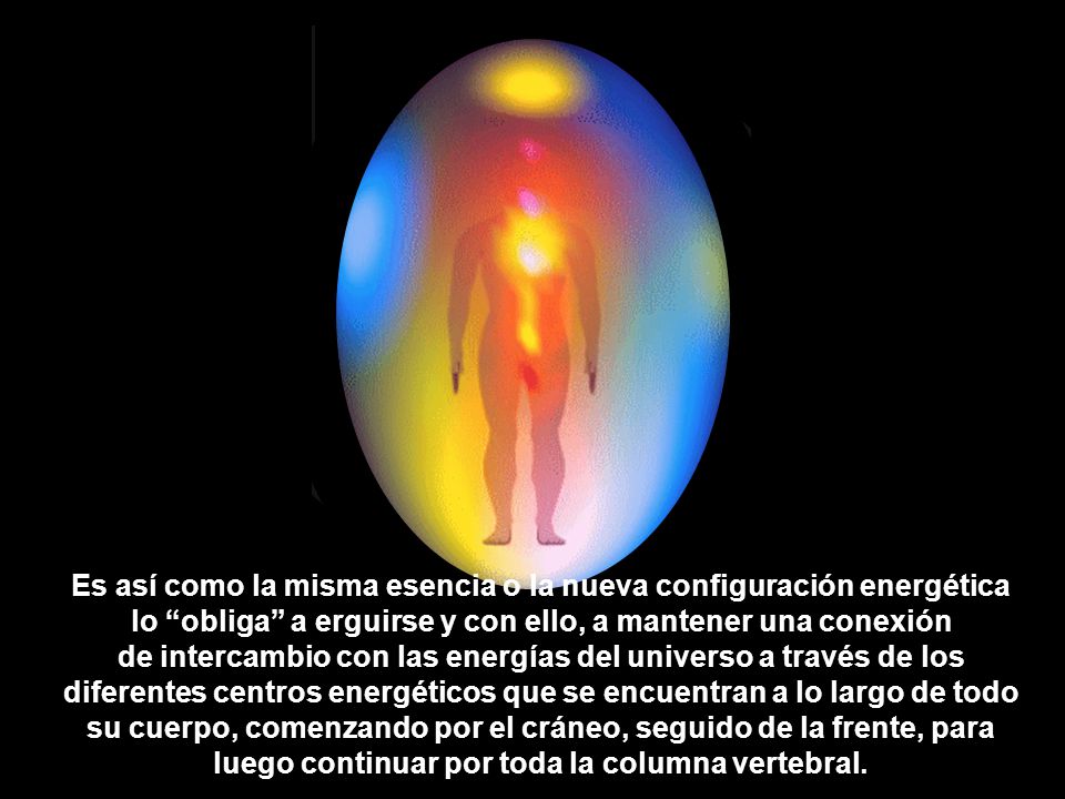 Es así como la misma esencia o la nueva configuración energética lo obliga a erguirse y con ello, a mantener una conexión de intercambio con las energías del universo a través de los diferentes centros energéticos que se encuentran a lo largo de todo su cuerpo, comenzando por el cráneo, seguido de la frente, para luego continuar por toda la columna vertebral.