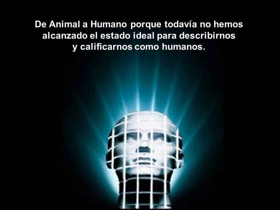 De Animal a Humano porque todavía no hemos alcanzado el estado ideal para describirnos y calificarnos como humanos.