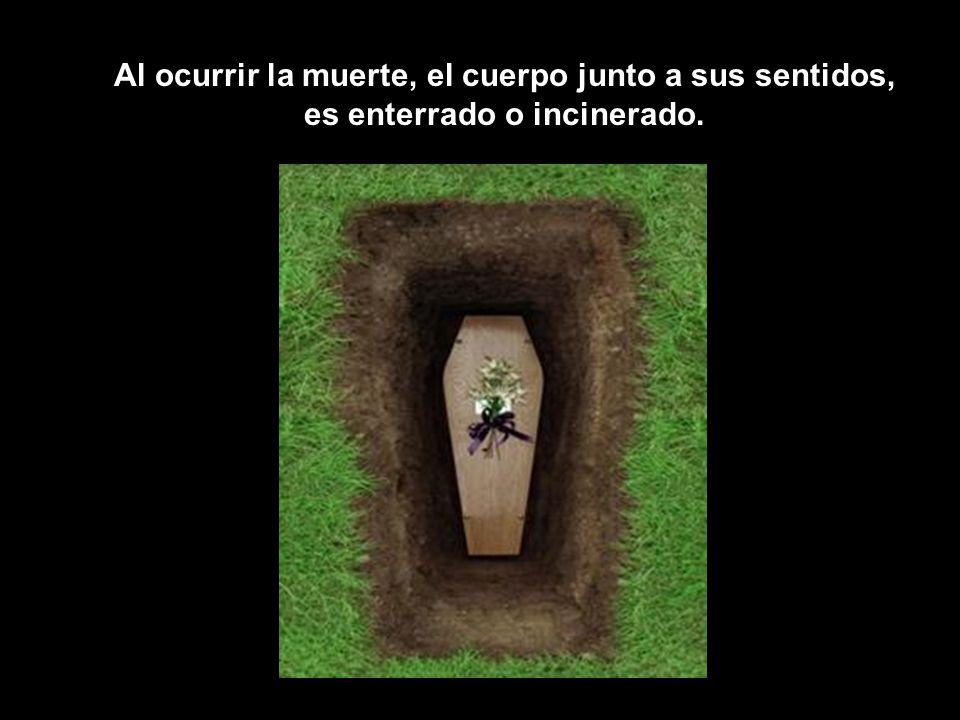 Al ocurrir la muerte, el cuerpo junto a sus sentidos, es enterrado o incinerado.