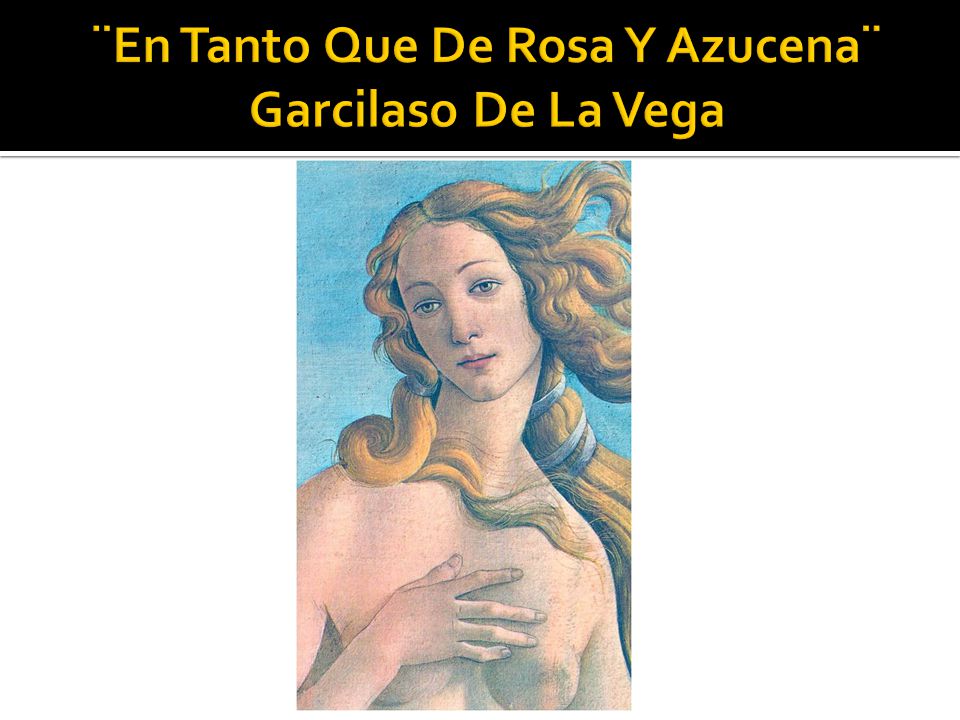 ¨En Tanto Que De Rosa Y Azucena¨ Garcilaso De La Vega