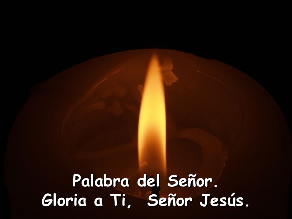 Palabra del Señor. Gloria a Ti, Señor Jesús.
