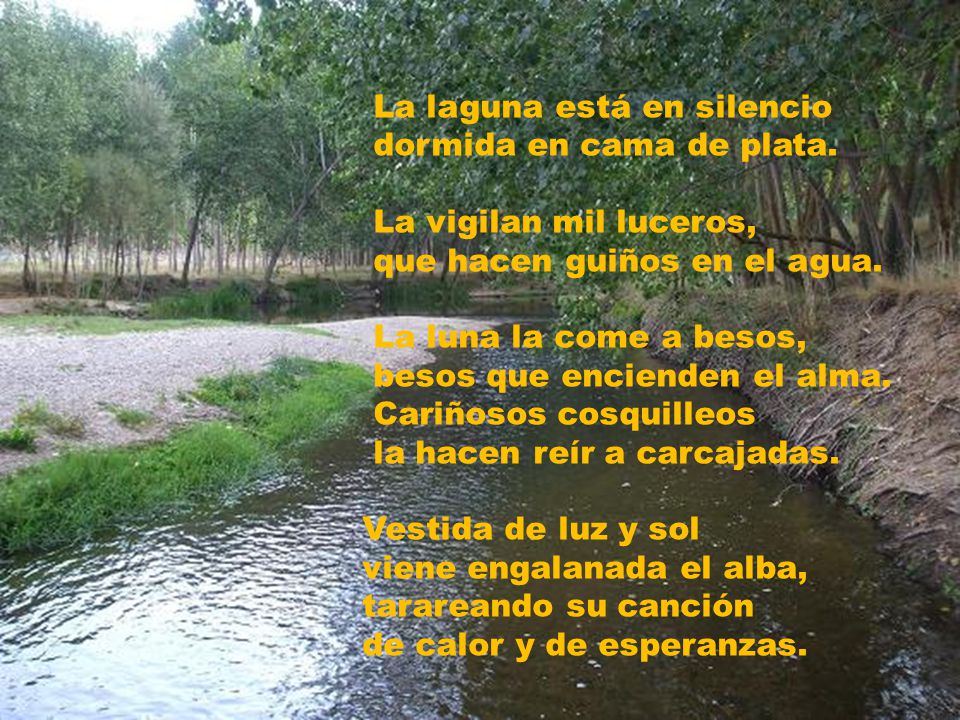 A La laguna está en silencio. dormida en cama de plata. La vigilan mil luceros, que hacen guiños en el agua.