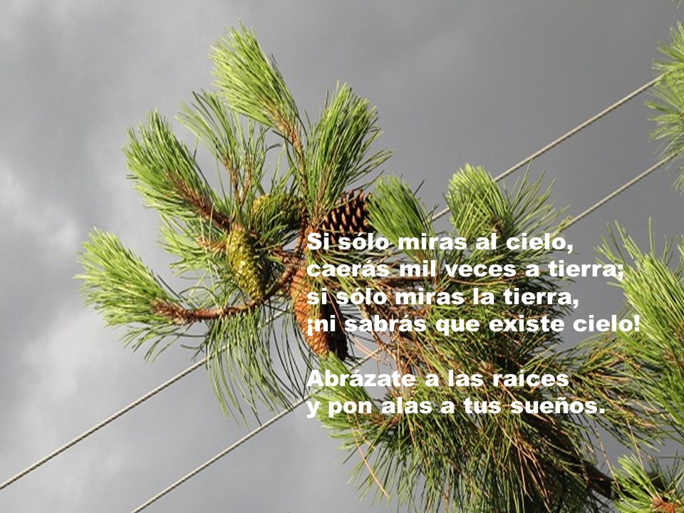 Si sólo miras al cielo, caerás mil veces a tierra; si sólo miras la tierra, ¡ni sabrás que existe cielo!
