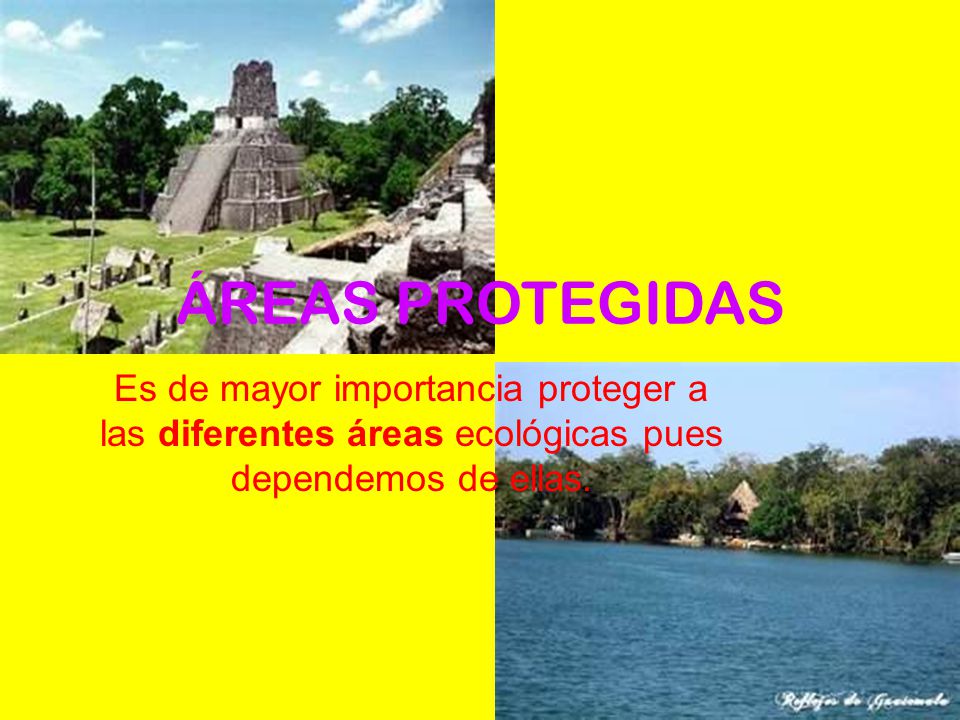ÁREAS PROTEGIDAS Es de mayor importancia proteger a las diferentes áreas ecológicas pues dependemos de ellas.