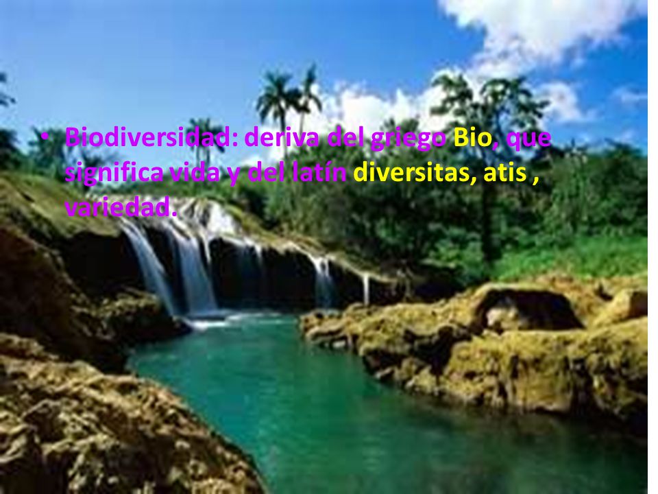 Biodiversidad: deriva del griego Bio, que significa vida y del latín diversitas, atis , variedad.
