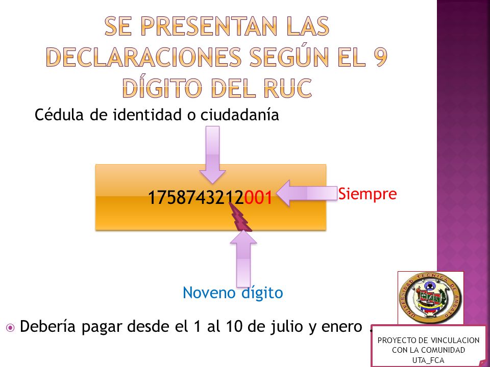 se presentan las declaraciones SEGÚN EL 9 DÍGITO DEL RUC