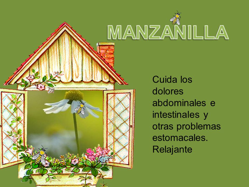 Cuida los dolores abdominales e intestinales y otras problemas estomacales. Relajante