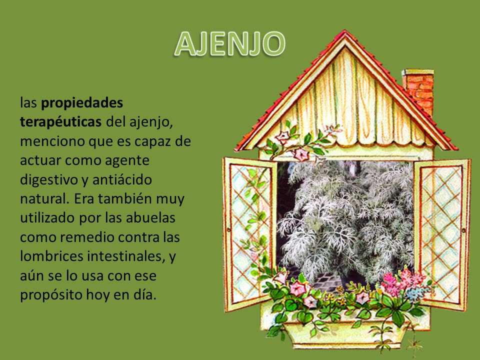 las propiedades terapéuticas del ajenjo, menciono que es capaz de actuar como agente digestivo y antiácido natural.