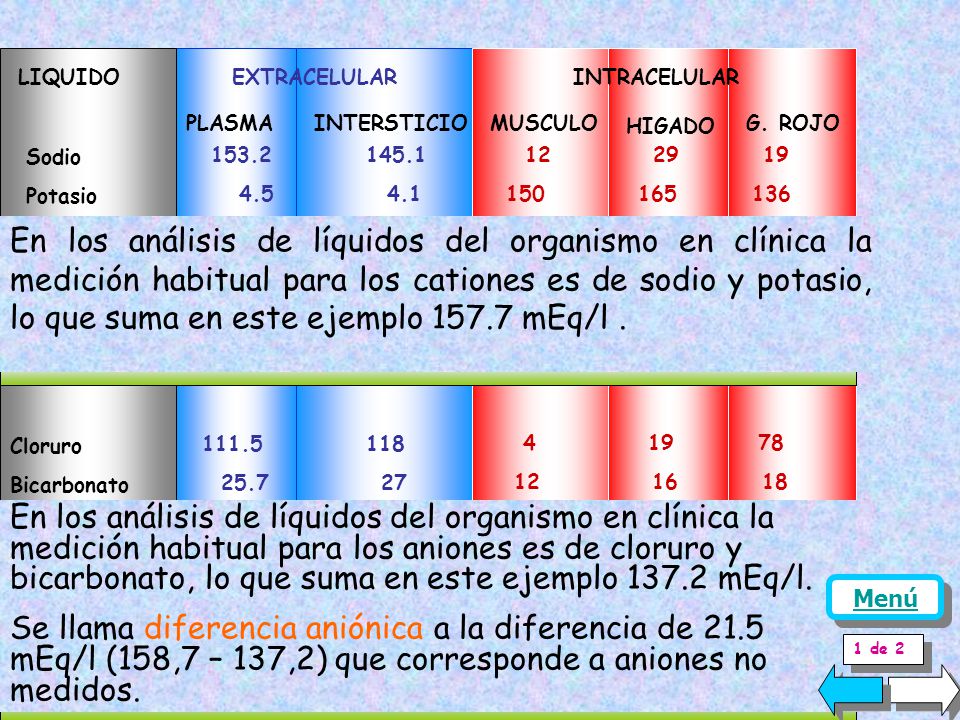 LIQUIDO EXTRACELULAR INTRACELULAR. PLASMA. INTERSTICIO. MUSCULO. HIGADO. G. ROJO. Sodio.