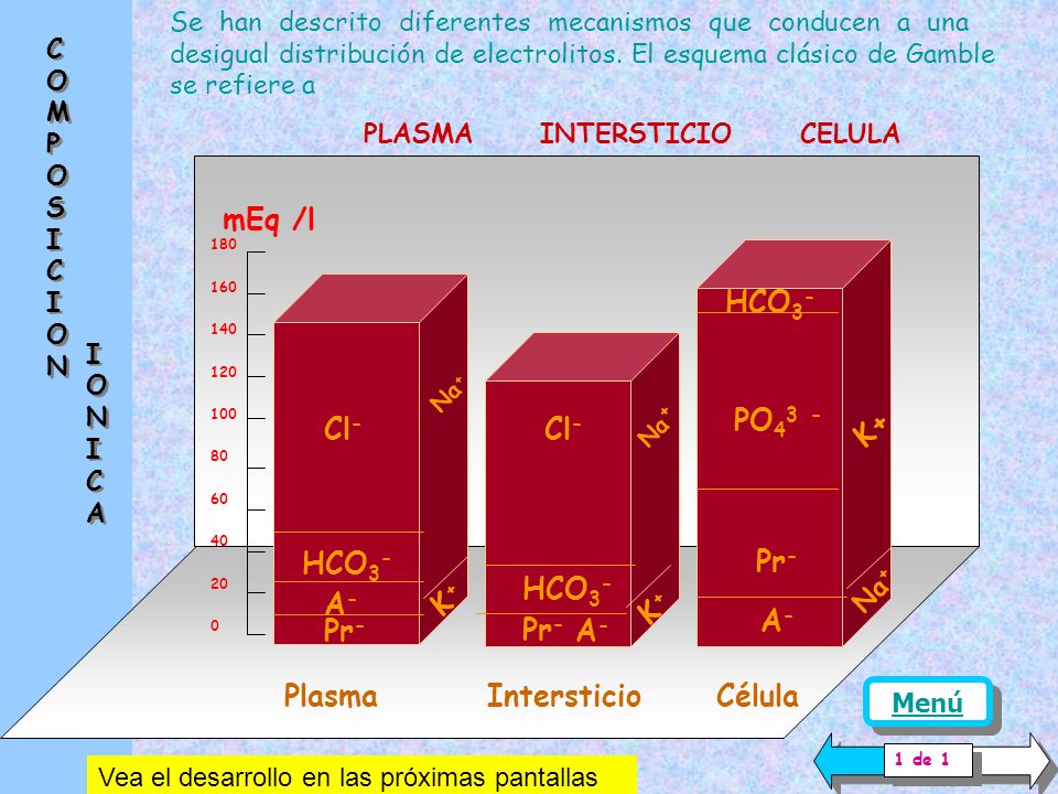 Plasma Pr- A- HCO3- Cl- K+ Cl - Intersticio mEq /l PO43 - Célula