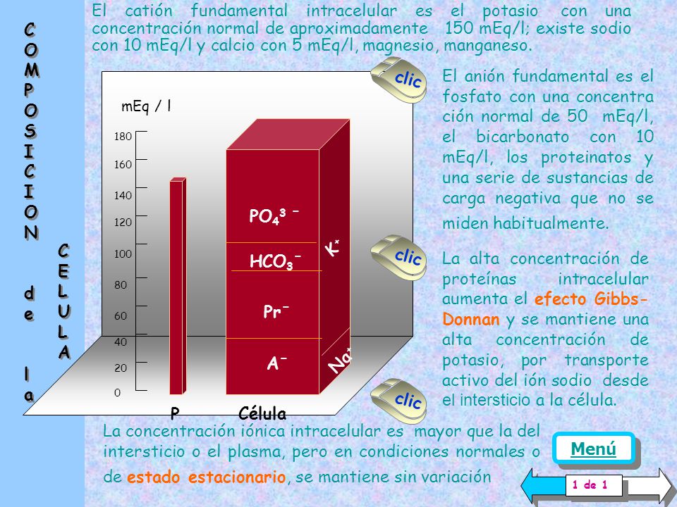 El catión fundamental intracelular es el potasio