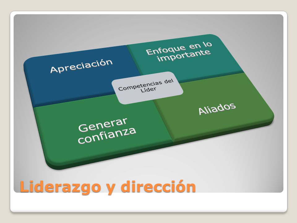 Liderazgo y dirección Enfoque en lo importante Generar confianza