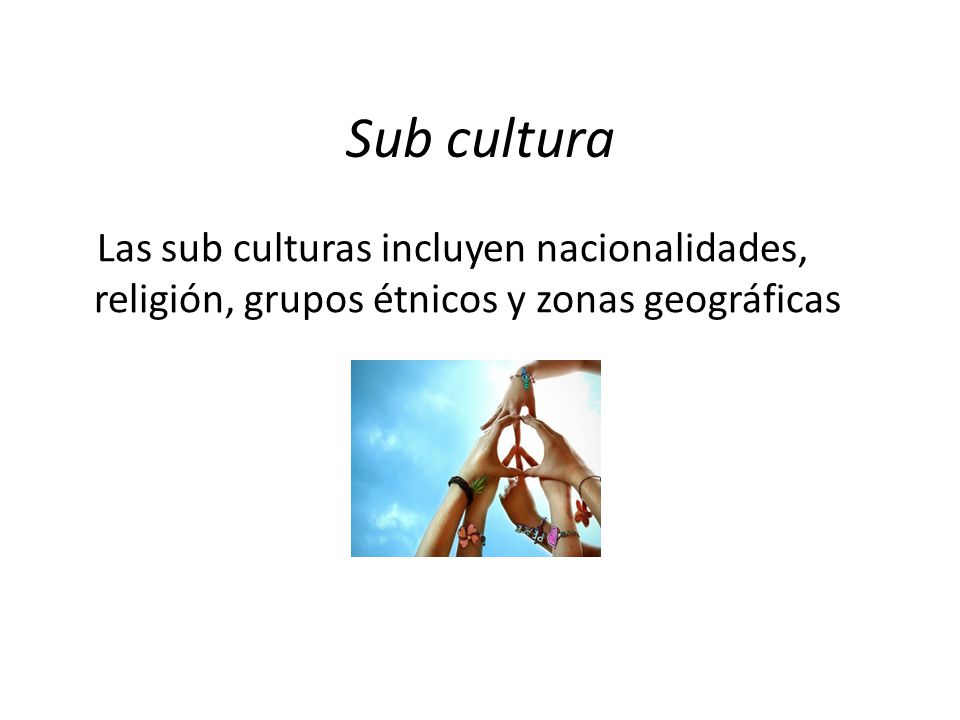 Sub cultura Las sub culturas incluyen nacionalidades, religión, grupos étnicos y zonas geográficas