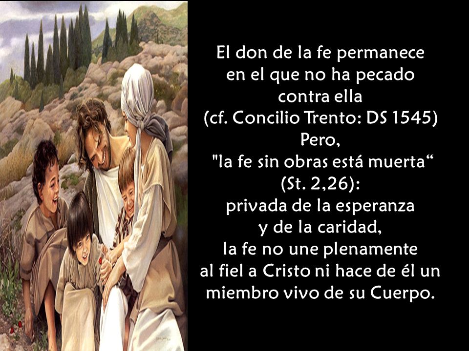 El don de la fe permanece en el que no ha pecado contra ella