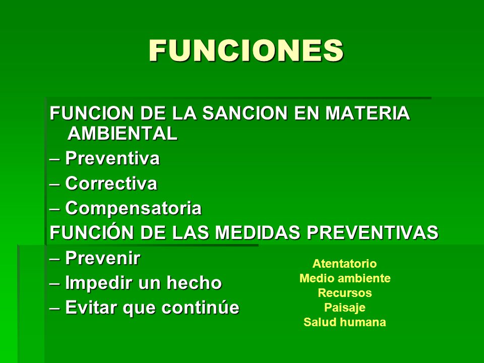 FUNCIONES FUNCION DE LA SANCION EN MATERIA AMBIENTAL – Preventiva