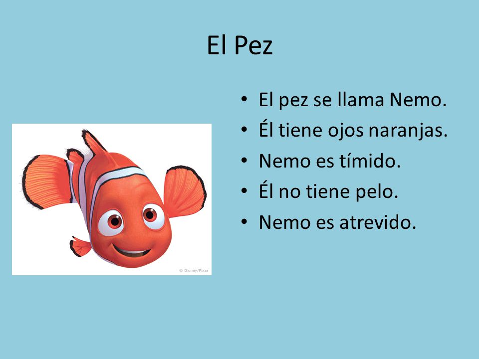 El Pez El pez se llama Nemo. Él tiene ojos naranjas. Nemo es tímido.