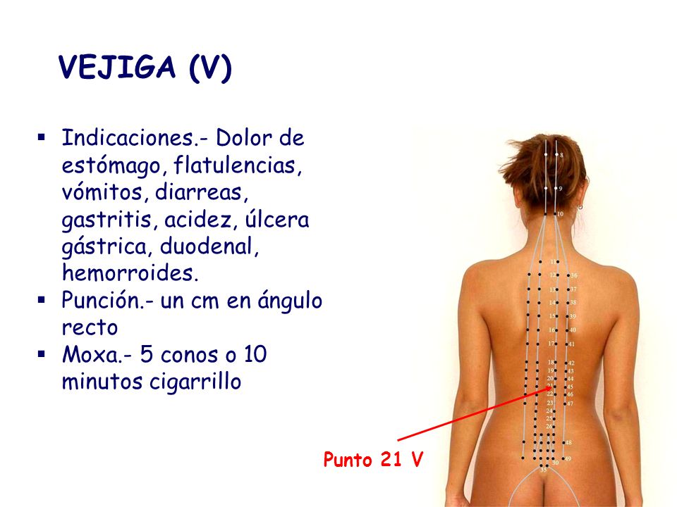 VEJIGA (V) Indicaciones.- Dolor de estómago, flatulencias, vómitos, diarreas, gastritis, acidez, úlcera gástrica, duodenal, hemorroides.