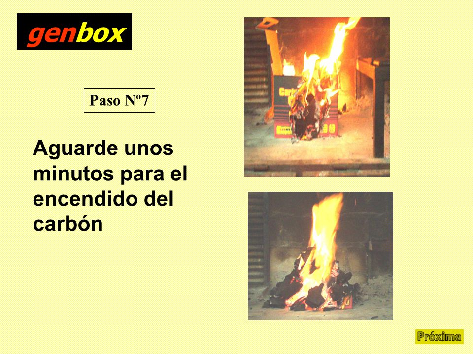 genbox Próxima Aguarde unos minutos para el encendido del carbón